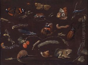 Kleintieren Und Insekten (study) by Dietrich Findorff