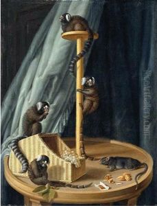 Exotic Species Of Monkeys From The Private Zoo Of The Herzog Christian Ludwig Von Mecklenburg-schwerin by Dietrich Findorff