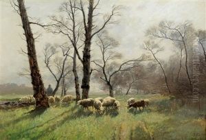 Shepherd With His Flock In The Evening Light