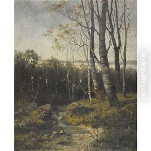Waldbach Mit Angler