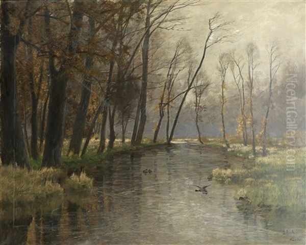 Aulandschaft - view 1