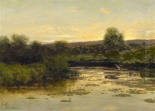 Abendliche Seenlandschaft Im Dachhauer Moor - view 1