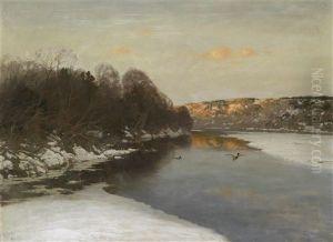 Enten Am Zugeforenen Fluss
