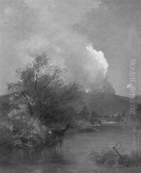 Reh Am Ufer Der Loisach - view 1