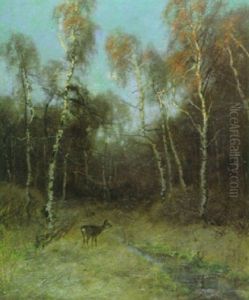 Reh Im Birkenwald