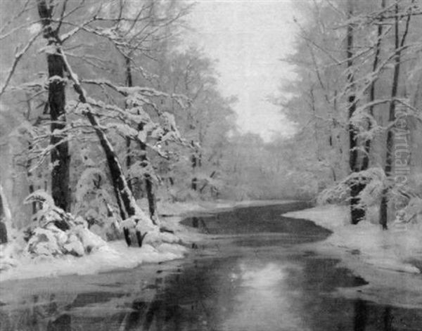 Stille Flusslandschaft Im Winter - view 1
