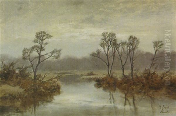 Herbstliche Moorlandschaft - view 1