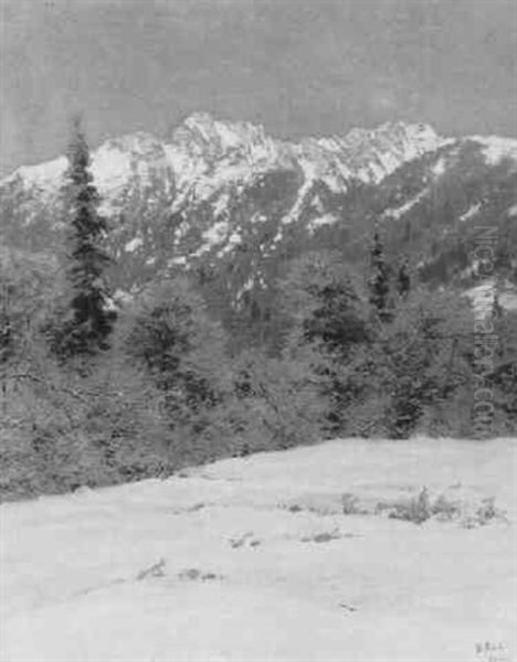A Mountainous Landscape In Winter - view 1