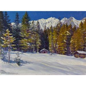 Bergwaldstille Im Winter