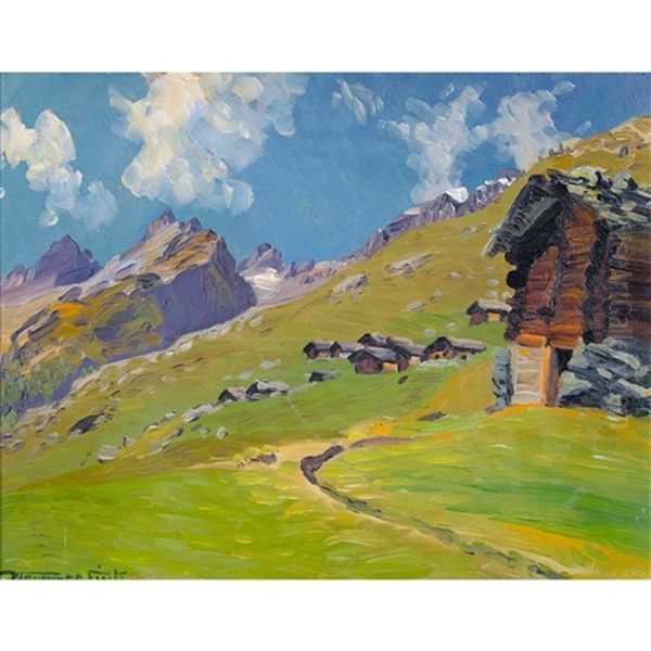 Sommerliche Alp - view 1