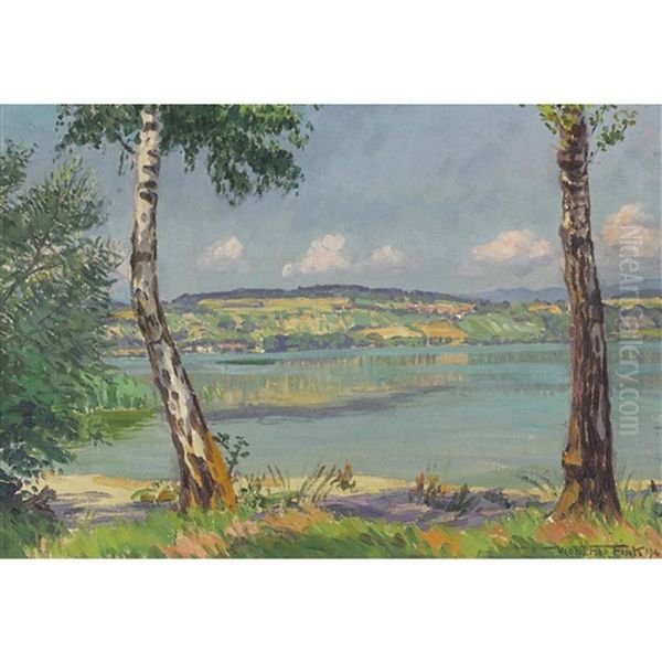 Sommertag Am Murtensee - view 1