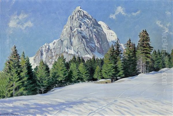 Sonniger Wintertag - view 1
