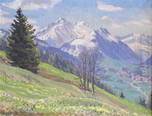 Bergfruhling Bei Der Roten Egg Ob Saanen Bergfruhling Bei Der Roten Egg Ob Saanen