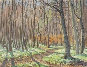 Fruhling Im Wald by Waldemar Theophil Fink