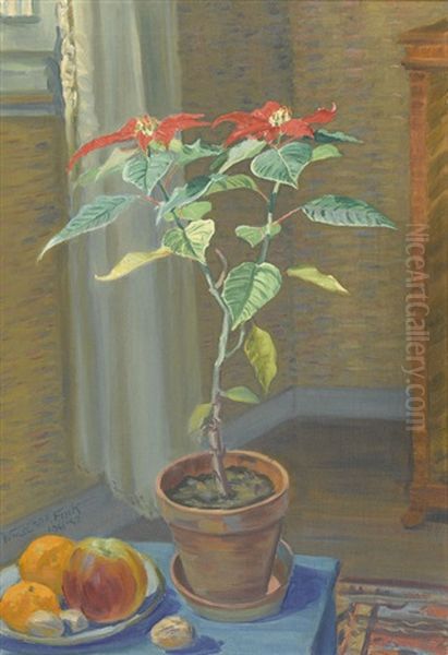 Weihnachtsstern - view 1
