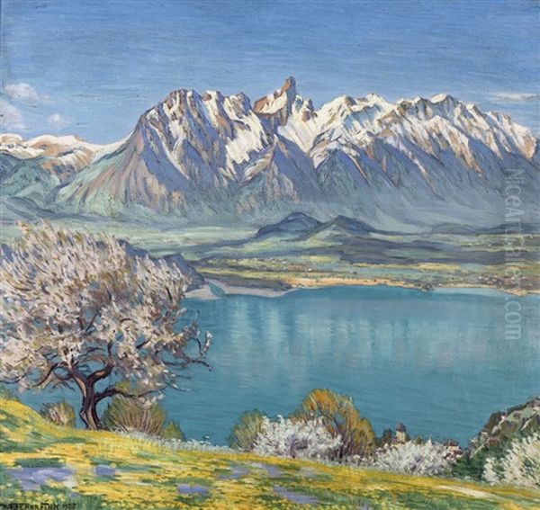 Maientag Rings Um Den Thunersee - view 1