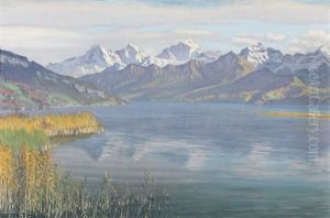 Novembertag Am Thunersee