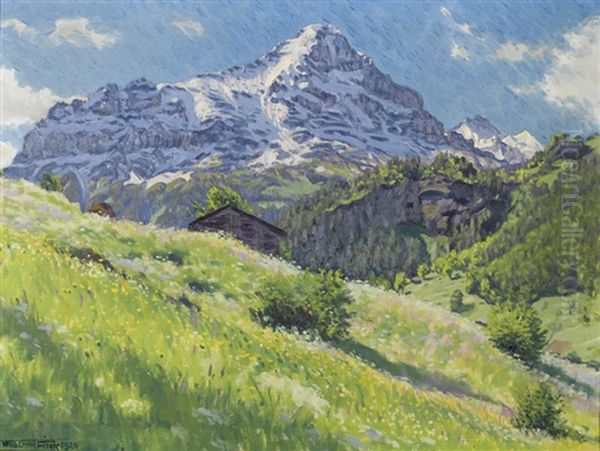Morgenstimmung Bei Grindelwald - view 1