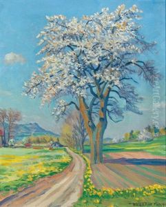 Kirschbaum Bluhet Kirschbaum Bluhet