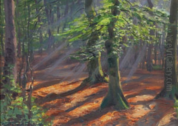 Sonne Im Wald Dahlholzli - view 1