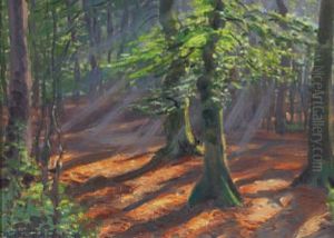 Sonne Im Wald Dahlholzli by Waldemar Theophil Fink