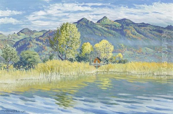 Herbst Am Thunersee - view 1