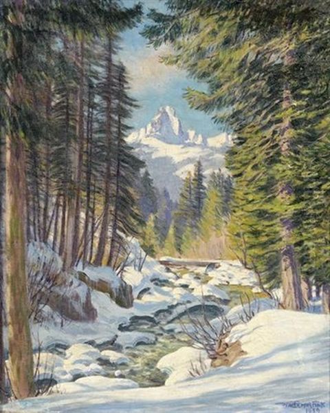Im Turbachtal Bei Gstaad - view 1