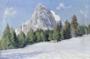 Sonniger Wintertag (bei Saanen) Sonniger Wintertag (bei Saanen)