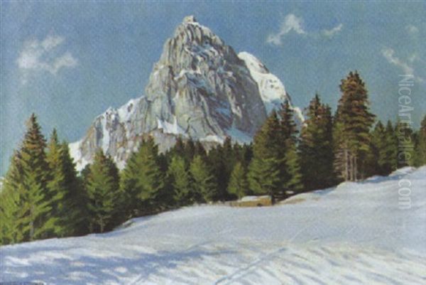 Sonniger Wintertag An Der Gislifluh - view 1