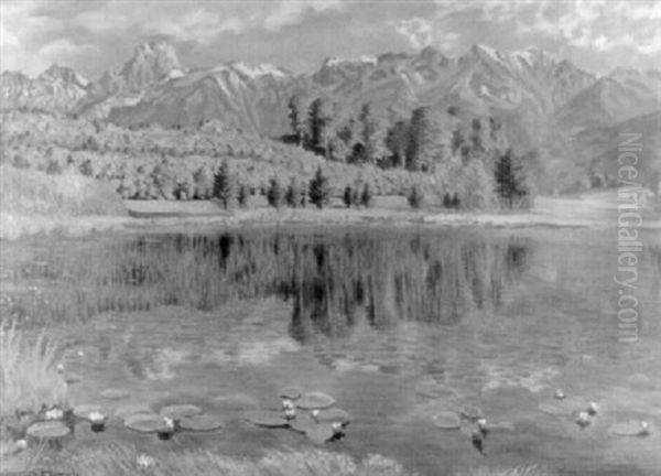 Junivorabend Am Geistsee Mit Stockhornkette Bei Gurzelen - view 1
