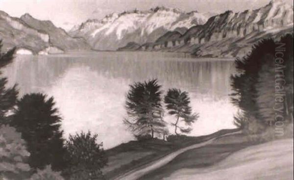A Mountainous Lake Landscape - view 1