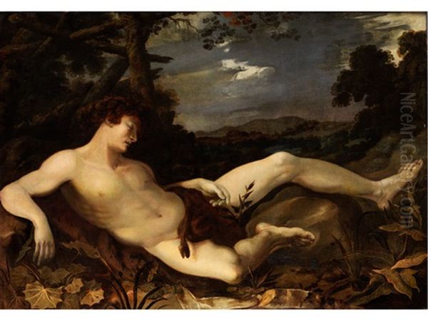 Adonis - view 1