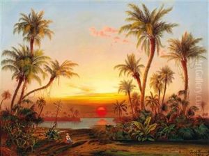 A Southern Landscape With Palms In The Evening Light