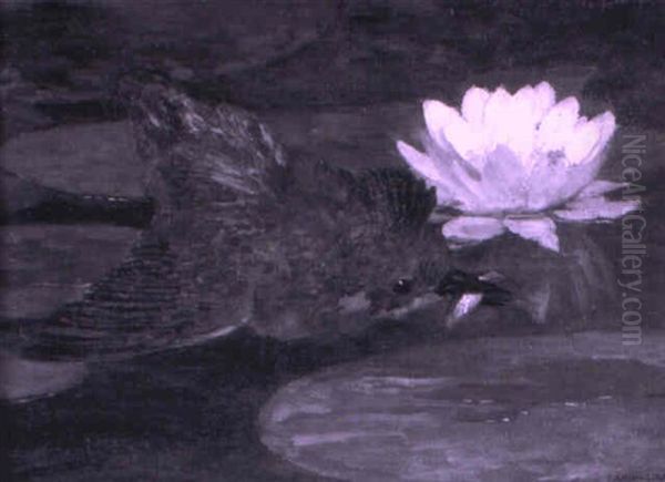 Eisvogel Und Bluhende Seerose - view 1