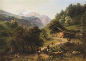 Almwirtschaft Im Hochgebirge