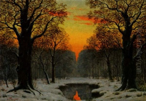 Winterabend Im Hausbruch - view 1