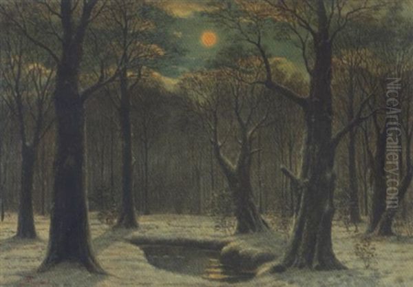 Vollmond Uber Dem Winterlichen Hasbruch - view 1