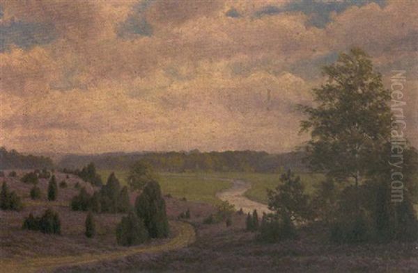 Bluhende Heide Uber Der Hunteniederung - view 1