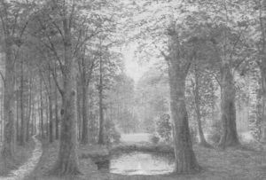 Hasbruch Im Herbstlaub Hasbruch Im Herbstlaub