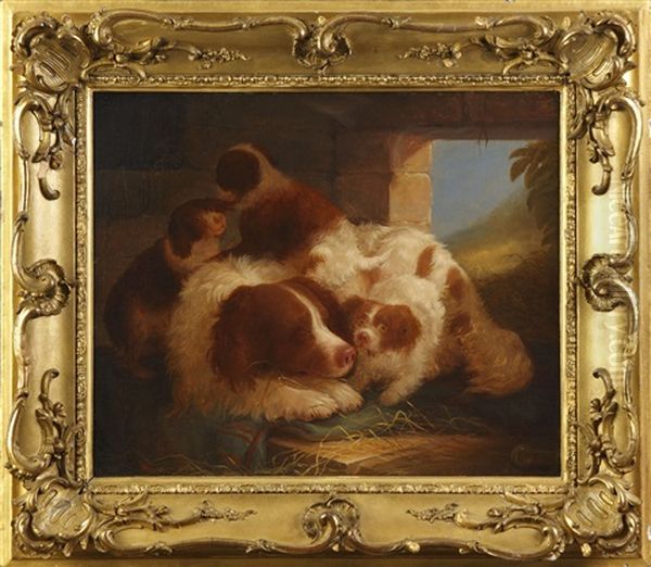 Puppies - view 1