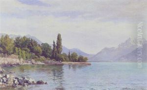 Parti Fra Genfersoen