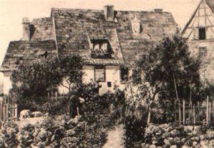 In The Kitchen Garden