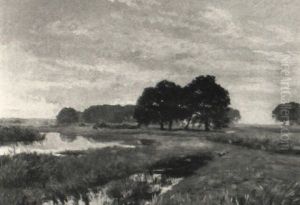 Moorlandschaft Mit Wildenten