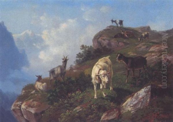 Ziegen Im Hochgebirge - view 1
