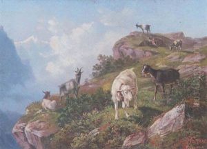 Ziegen Am Felsigen Hang Im Hochgebirge (berner Oberland?)