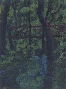 Waldteich Waldteich