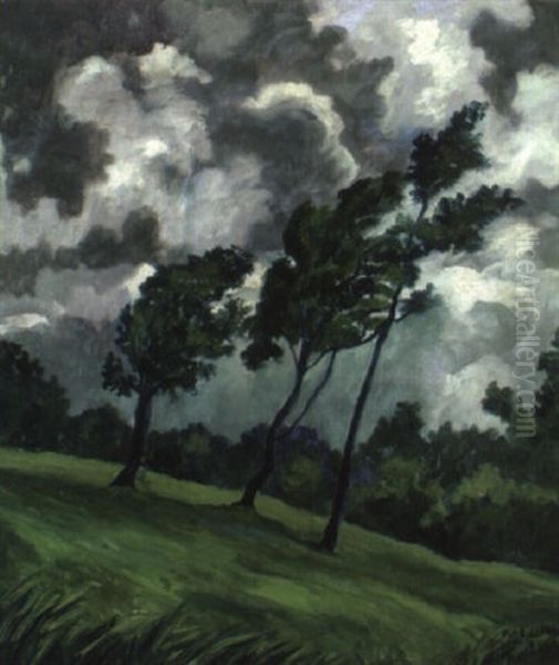 Aufziehendes Gewitter - view 1