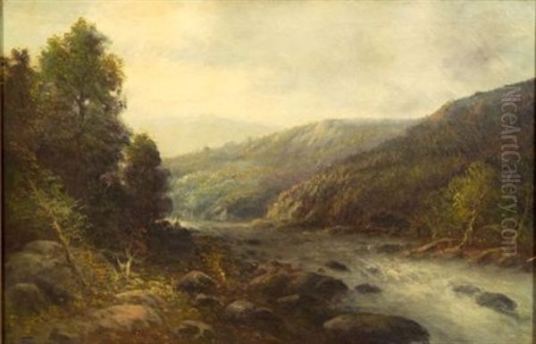Rapids In A Mountain Valley - view 1