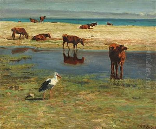 Heifers And Stork On Wet Meadow - view 1
