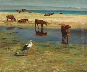 Heifers And Stork On Wet Meadow
